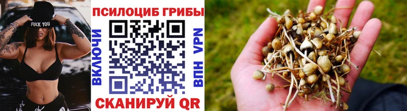 Галлюциногенные грибы Psilocybine cubensis Артёмовск
